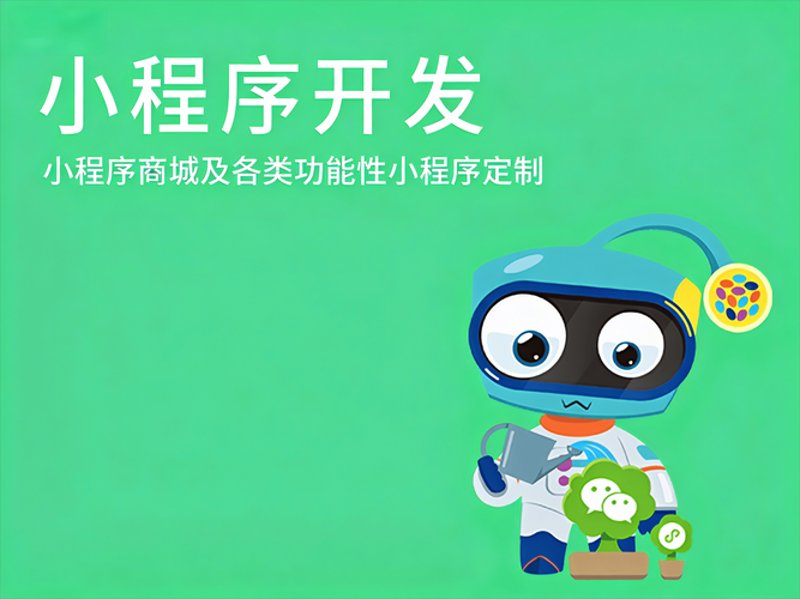 软件定制开发：构建专属您企业的数字桥梁